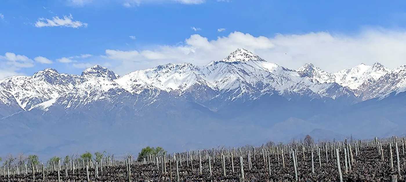 Vinhedos e Cordilheira dos Andes